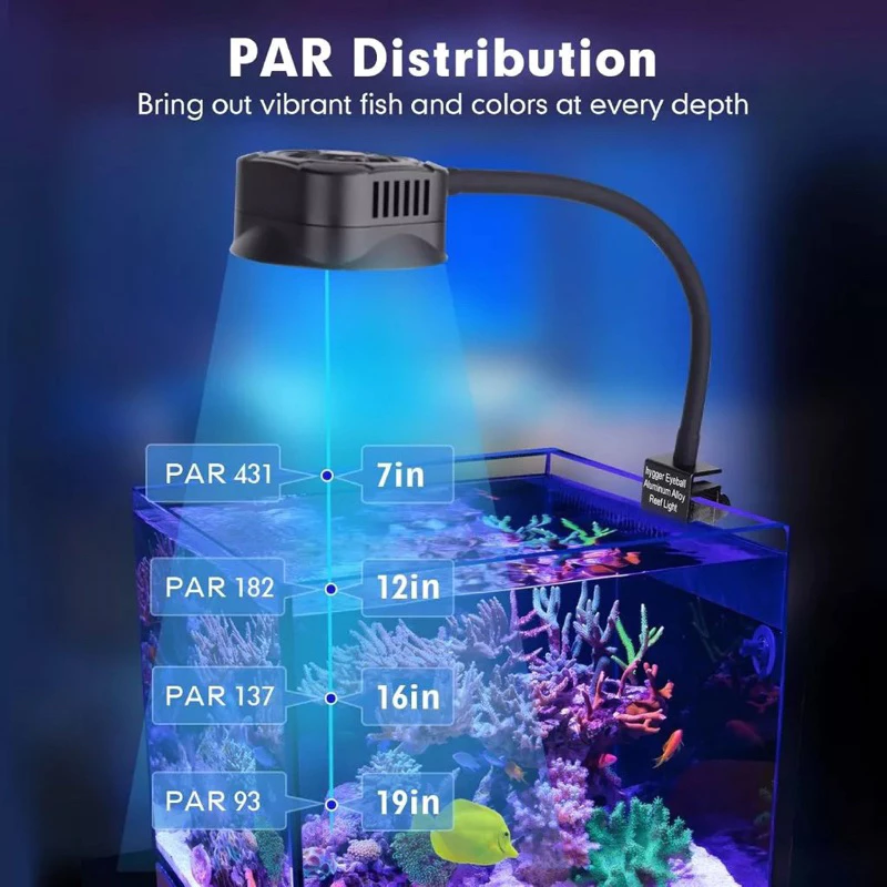 vn-11134207-7ra0g-m71k4ckxasm09c-2